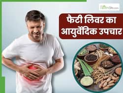 फैटी लिवर की समस्या से छुटकारा पाने के लिए आजमाएं ये 5 आयुर्वेदिक उपाय, लिवर की सूजन भी होगी कम