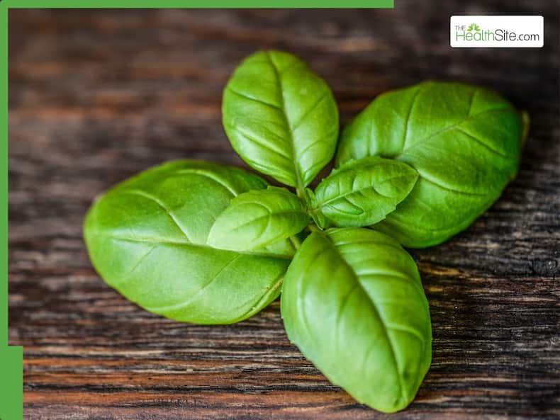 5 Medicinal Leaves To Treat Fatty Liver At Home Without Medication