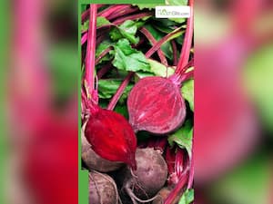 भुने हुए चुकंदर खाने से मिलते हैं दोगुने फायदे