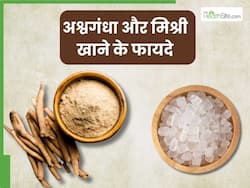 अश्वगंधा और मिश्री साथ में खाने से दूर हो सकती हैं ये 5 समस्याएं, जानें सेवन का सही तरीका