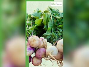 सर्दियों में शलजम खाने के 8 फायदे