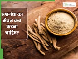 अश्वगंधा का सेवन कब करना चाहिए? आयुर्वेद एक्सपर्ट से जानिए सेवन सही समय और तरीका