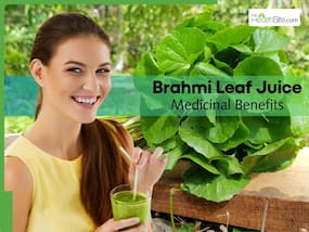 10 Medicinal Health Benefits of Drinking Brahmi Leaves Juice Every Morning