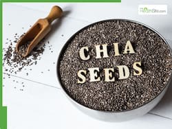 Chia Seeds And Honey On Empty Stomach: 5 Reasons To Drink Chia Seeds Water Daily Morning