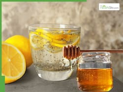 Chia Seeds Health Benefits: 7 Health Benefits of Drinking Honey With Chia Seed Water Daily