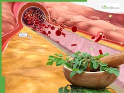 10 Medicinal Leaves To Clear Clogged Arteries In Winter Naturally Without Surgery