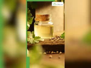 सुबह खाली पेट साबुत धनिए का पानी पीने के 8 फायदे