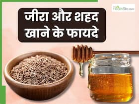 शहद में जीरा मिलाकर खाने से दूर हो सकती हैं ये 5 समस्याएं, जानें सेवन का सही तरीका