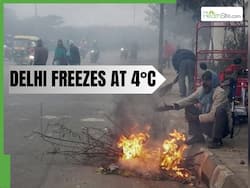 Delhi Weather Update: Dense Smog Grips National Capital; AQI Exceeds 480; Temperature Drops to 8 C