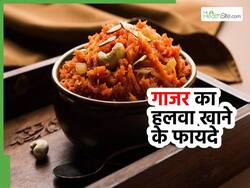 सर्दियों में इस वजह से खाया जाता है गाजर का हलवा, फायदे जानेंगे तो कहेंगे 'पहले किसी ने क्यों नहीं बताया'