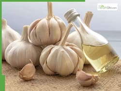 Garlic Medicinal Benefits: 5 Health Advantages of Eating 1 Garlic Clove Daily On Empty Stomach