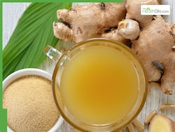 Ginger Juice Medicinal Benefits: 5 Health Advantages of Drinking Adrak Juice Daily in the Morning