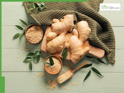 Discover The Health Benefits Of Ginger, Lemon, And Honey: A Natural Powerhouse