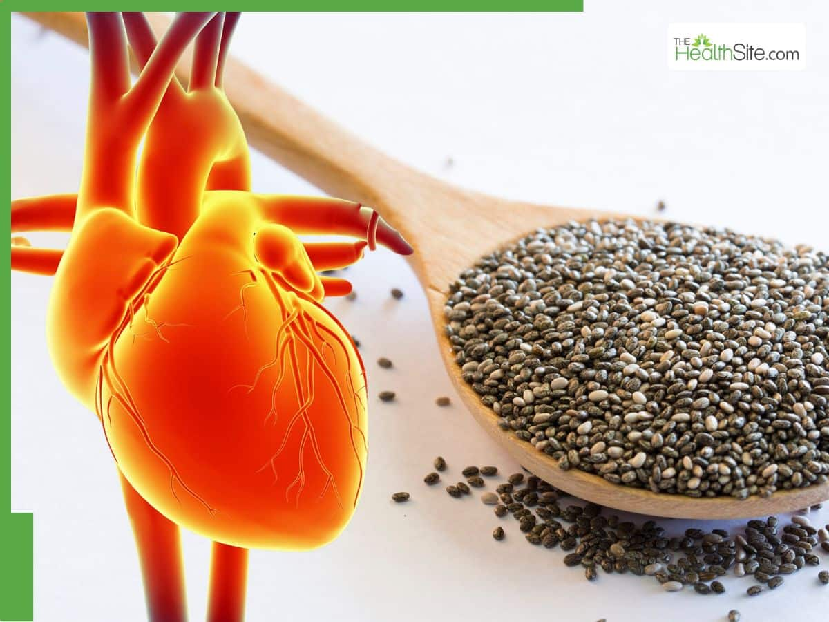 Chia Seeds Medicinal Benefits: How Much Chia Seed Should You Eat Daily?