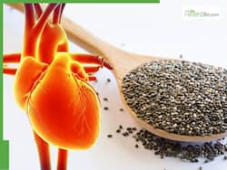 Chia Seeds Medicinal Benefits: How Much Chia Seed Should You Eat Daily?