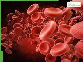 Healthy Heart Signs: 7 Key Indicators You Don't Have High Cholesterol Levels