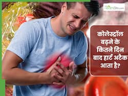 कोलेस्ट्रॉल बढ़ने के कितने दिन बाद हार्ट अटैक आता है? एक्सपर्ट से जानिए Cholesterol बढ़ने पर क्या न खाएं