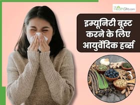 सर्दियों में इम्यूनिटी बूस्ट करने के लिए डाइट में शामिल करें ये 4 आयुर्वेदिक हर्ब्स, बीमारियां रहेंगी कोसों दूर