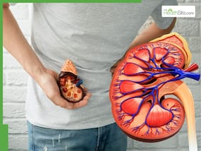 Kidney Damage Management: 5 Everyday Habits To Keep Your Renal Health In Check In Winter