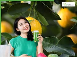 Lemon Leaves Juice Medicinal Benefits: 10 Health Advantages of Drinking Nimbu Leaves Extract Daily Morning