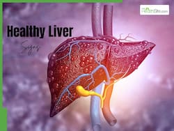 Healthy Liver Signs: 5 Indicators Your Liver Is Working Fine