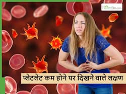 शरीर में प्लेटलेट कम होते ही दिखने लगते हैं ये 5 लक्षण गलती से भी न करें इन्हें इग्नोर, नहीं तो पड़ेगा पछताना