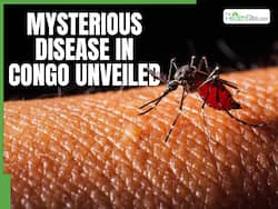 Mysterious Disease In Congo Unveiled; Know What Caused The Death Of 143 People