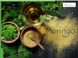 Moringa Leaves Juice Medicinal Benefits: 5 Health Advantages of Drinking Drumstick Leaves Water Daily