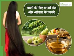 सरसों तेल में आंवला मिलाकर लगाने दूर होंगी बालों की ये 5 परेशानियां, जानिए प्रयोग का सही तरीका