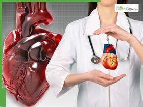Mustard Oil For Heart Health: 7 Powerful Benefits Of Cooking With This Heart-Healthy Oil