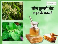 नीम और तुलसी को शहद में मिलाकर पीने से दूर होंगी ये 5 समस्याएं, जानें सेवन का तरीका