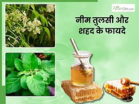 नीम और तुलसी को शहद में मिलाकर पीने से दूर होंगी ये 5 समस्याएं, जानें सेवन का तरीका