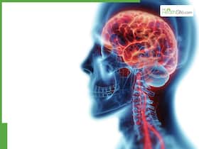 Neurological Disabilities: Common Disorders And Treatment