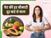 पेट की बीमारियों का काल है ये साधारण सा फल, गैस-कब्ज और एसिडिटी से तुरंत मिलेगी राहत