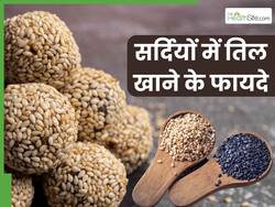 सर्दियों में तिल खाने से मिलते हैं ये 5 जबरदस्त फायदे, हड्डियों को मजबूत बनाने से लेकर वेट लॉस में मिलेगी मदद