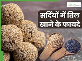 सर्दियों में तिल खाने से मिलते हैं ये 5 जबरदस्त फायदे, हड्डियों को मजबूत बनाने से लेकर वेट लॉस में मिलेगी मदद