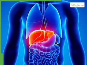 What Does A Happy Liver Look Like: 6 Signs Of A Healthy Hepatic System