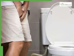 सर्दियों में बढ़ सकती हैं पेशाब में इंफेक्शन जैसी समस्याएं, बचाव के लिए रोज खाएं ये 4 फूड्स