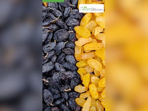 काली या पीली? कौन सी किशमिश खाना है ज्यादा फायदेमंद