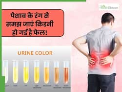 इस रंग का हो रहा है पेशाब तो समझ जाएं फेल हो रही है किडनी, समय से पहले हो जाएं सतर्क