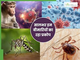 Year Ender 2024 : सालभर इन बीमारियों ने लोगों को किया परेशान, कई लोग थे इससे बेखबर Year Ender 2024 : सालभर इन बीमारियों ने लोगों को किया परेशान, कई लोग थे इससे बेखबर