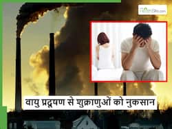 पुरुषों में शुक्राणुओं की गुणवत्ता को नुकसान पहुंचा रहा बढ़ता वायु प्रदूषण, हेल्थ एक्सपर्ट्स ने किया सावधान