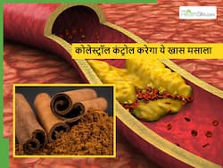 धमनियों में जमें Bad cholesterol को निकालने में सक्षम है यह इकलौती चीज, हफ्ते भर में ही दिखने लगता है असर