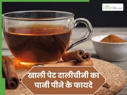 सर्दियों में सुबह पिएं 1 कप दालचीनी का पानी, बैड कोलेस्ट्रॉल ही नहीं ये 4 बीमारियां भी रहेंगी हमेशा दूर
