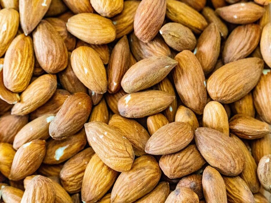 These 9 Nuts And Seeds Are A Must For Couples Trying To Conceive