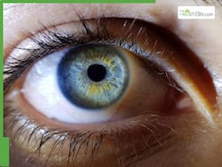 11 Diet And Nutrition Changes Diabetics Need To Make To Control And Manage Diabetic Retinopathy