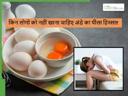 इन लोगों को गलती से भी नहीं खाना चाहिए अंडे का पीला हिस्सा, हार्ट अटैक जैसी कई बीमारियों का बढ़ सकता है खतरा