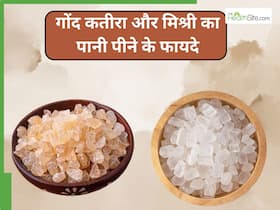 गोंद कतीरा और मिश्री का पानी पीने से दूर होंगी ये 5 परेशानियां, जानिए सेवन का सही तरीका