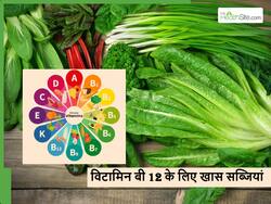 शरीर को अंदर से डैमेज कर सकती है विटामिन बी12 की कमी, इन हरी पत्तेदार सब्जियों से करें पूरा
