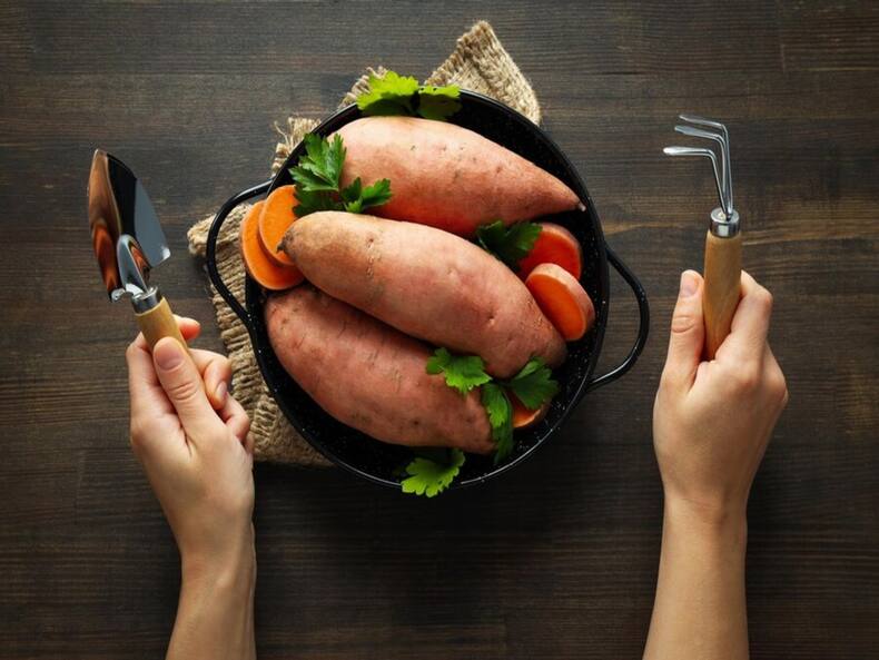 Winter Health Tips: 7 Reasons Why You Must Consume Sweet Potatoes In Winters